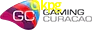Gaming License